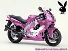 la  moto  playboy